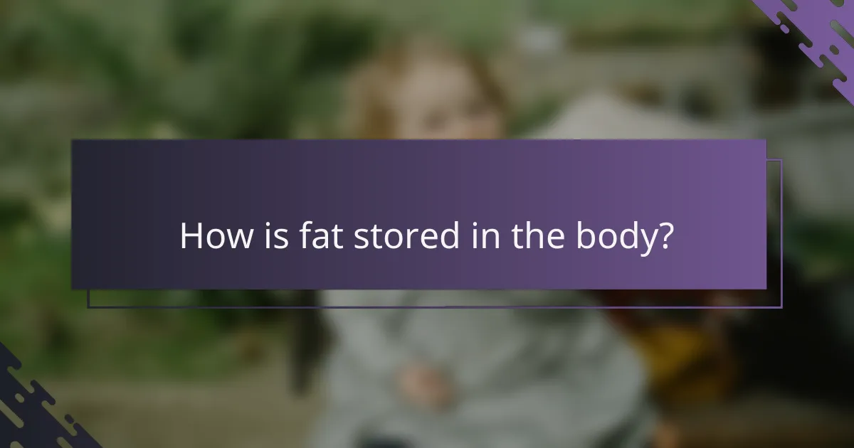 How is fat stored in the body?
