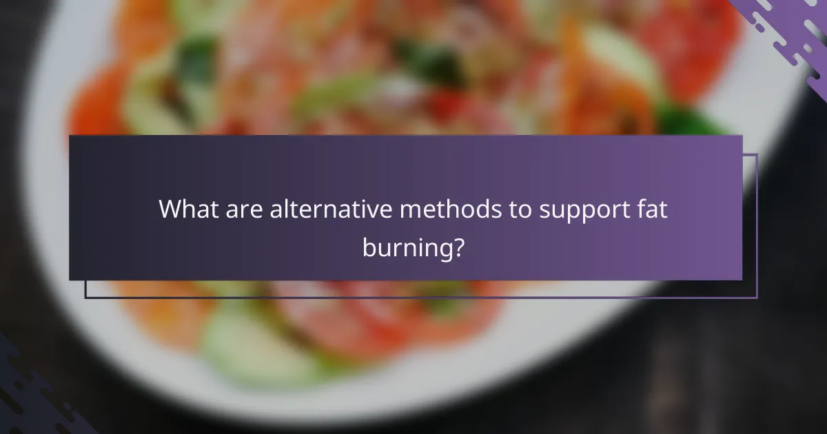 What are alternative methods to support fat burning?