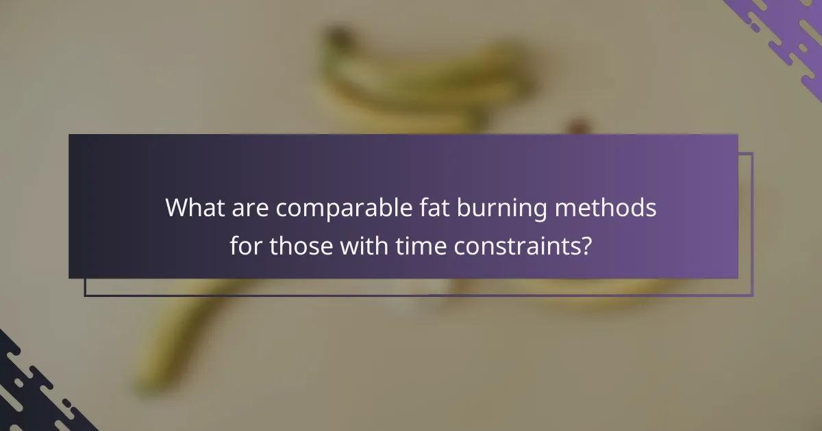 What are comparable fat burning methods for those with time constraints?