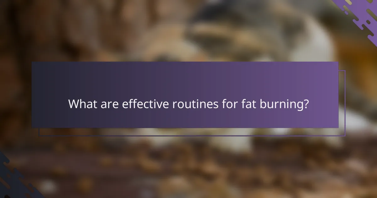 What are effective routines for fat burning?