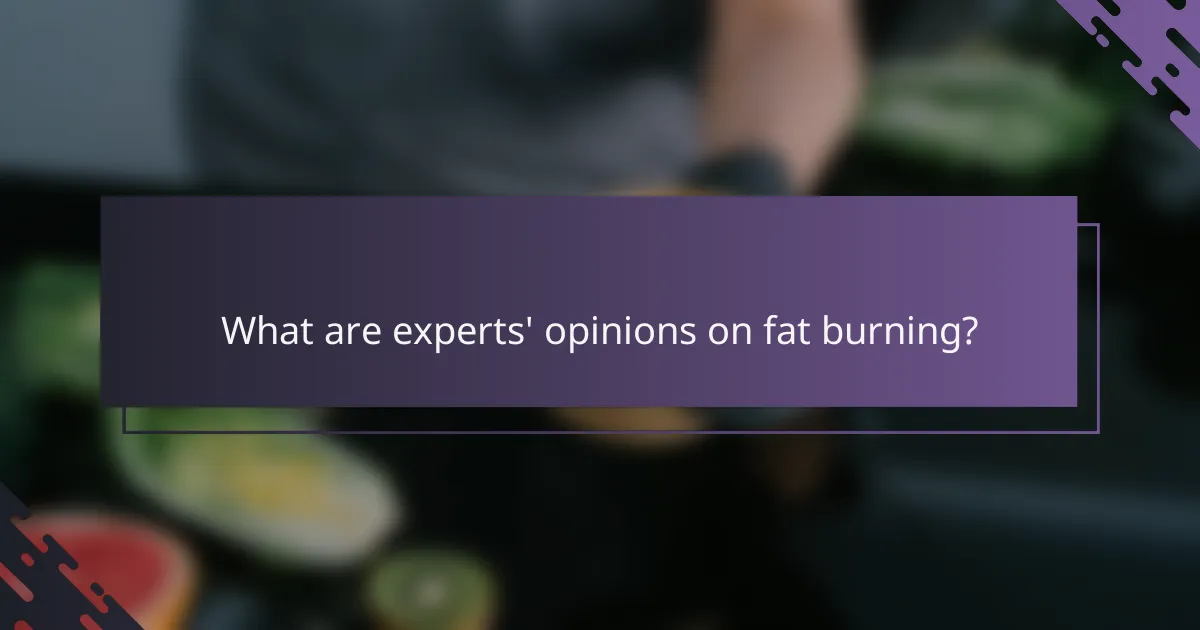 What are experts' opinions on fat burning?