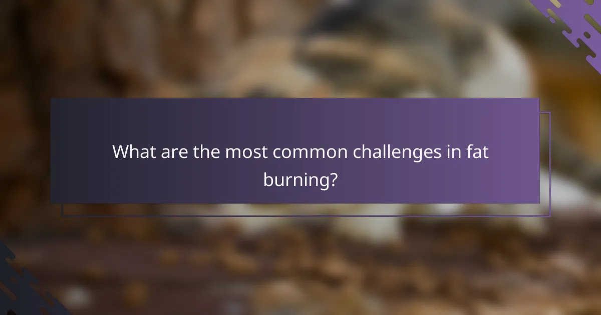 What are the most common challenges in fat burning?