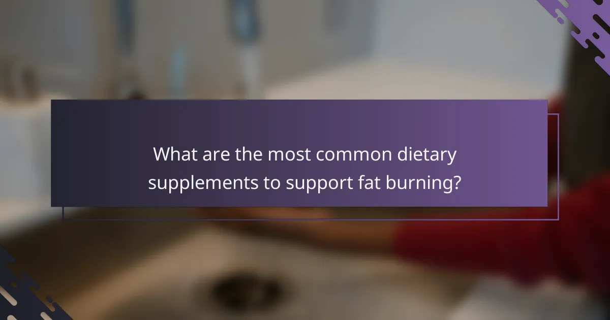 What are the most common dietary supplements to support fat burning?