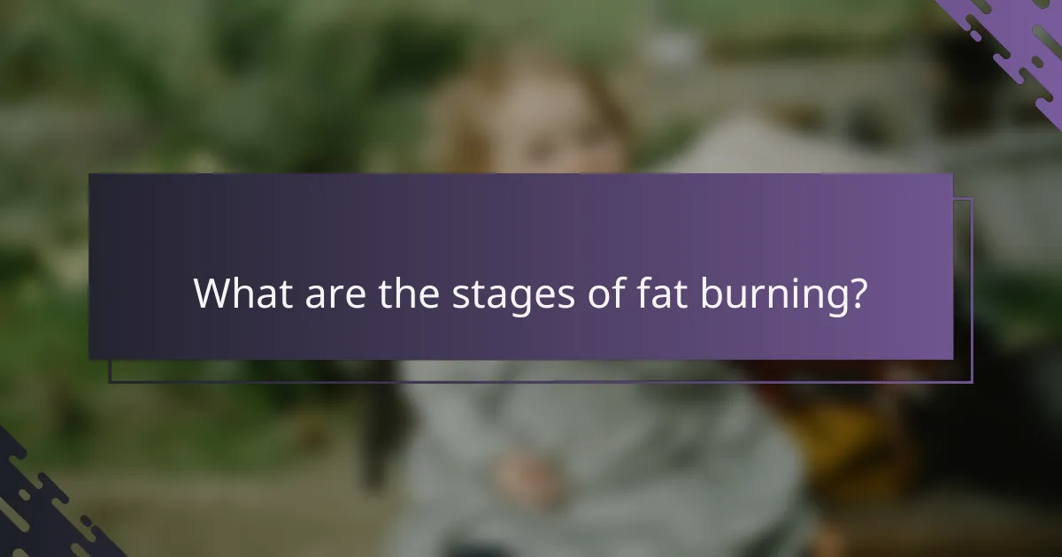 What are the stages of fat burning?